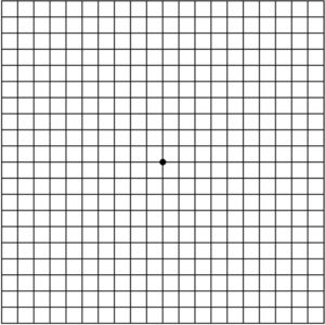 7 Awesome Steps on How to Use an Amsler Grid – SUNGLASSES | READERS ...